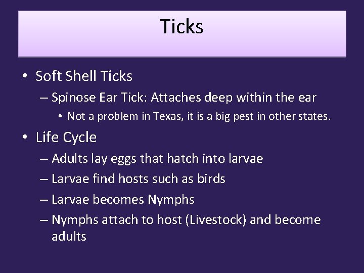 Ticks • Soft Shell Ticks – Spinose Ear Tick: Attaches deep within the ear