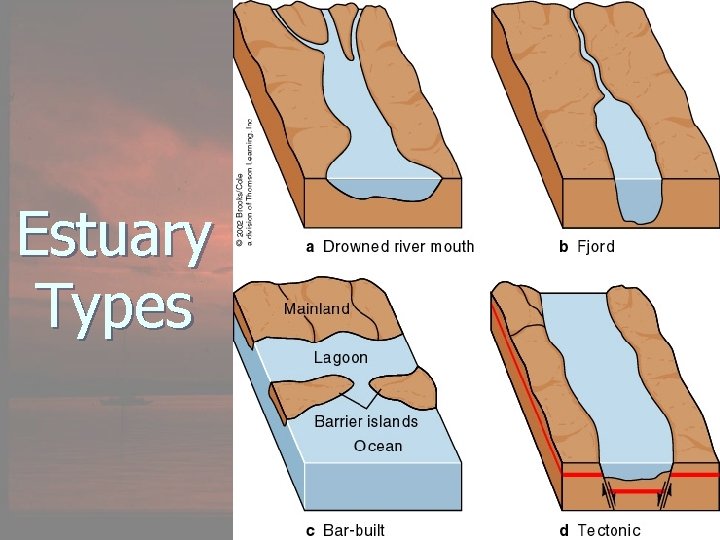 Estuary Types 