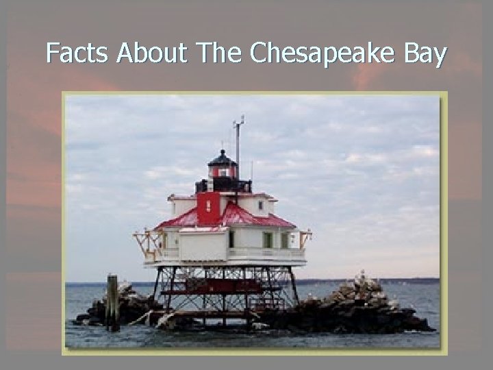 Facts About The Chesapeake Bay 