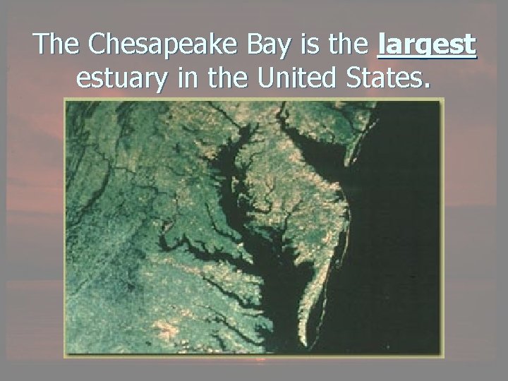 The Chesapeake Bay is the largest estuary in the United States. 