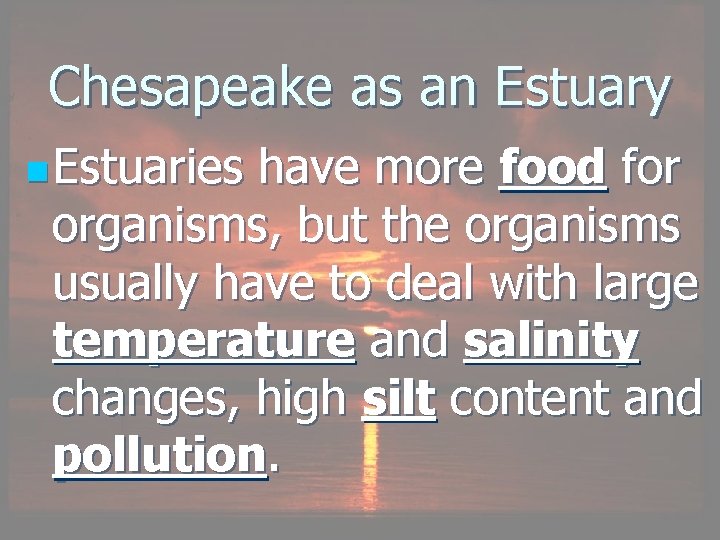 Chesapeake as an Estuary n Estuaries have more food for organisms, but the organisms