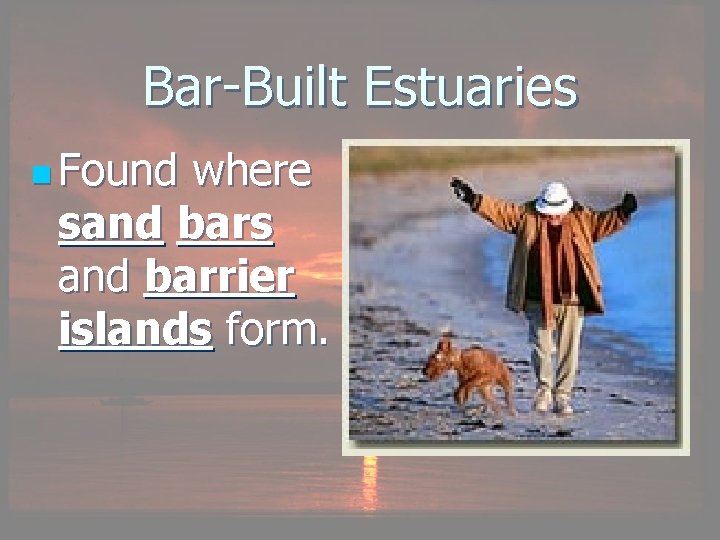 Bar-Built Estuaries n Found where sand bars and barrier islands form. 