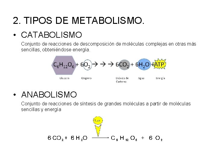 2. TIPOS DE METABOLISMO. • CATABOLISMO Conjunto de reacciones de descomposición de moléculas complejas