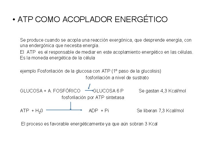  • ATP COMO ACOPLADOR ENERGÉTICO Se produce cuando se acopla una reacción exergónica,