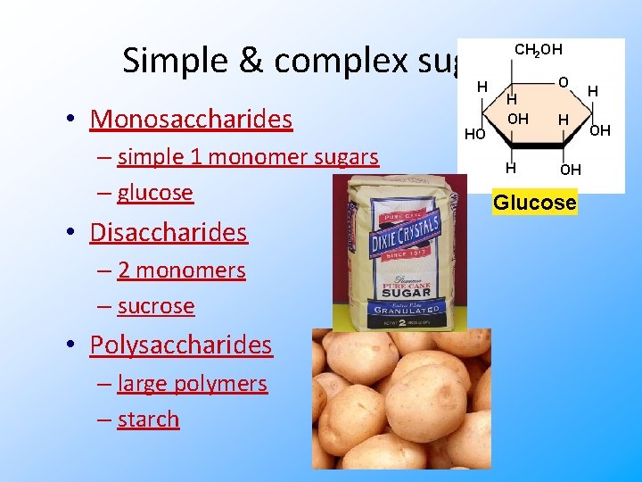 Simple & complex sugars CH 2 OH H • Monosaccharides – simple 1 monomer