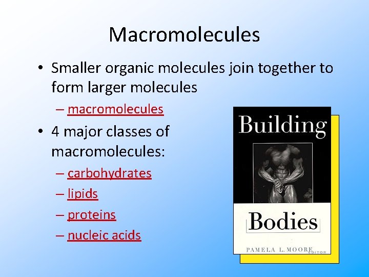 Macromolecules • Smaller organic molecules join together to form larger molecules – macromolecules •