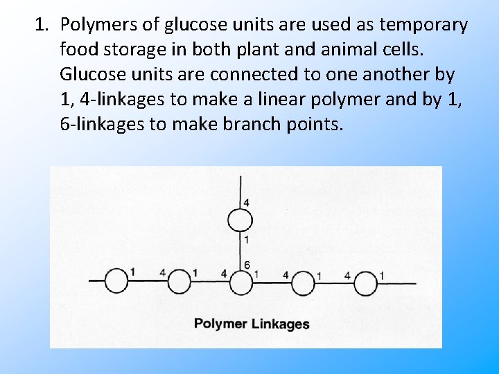 1. Polymers of glucose units are used as temporary food storage in both plant