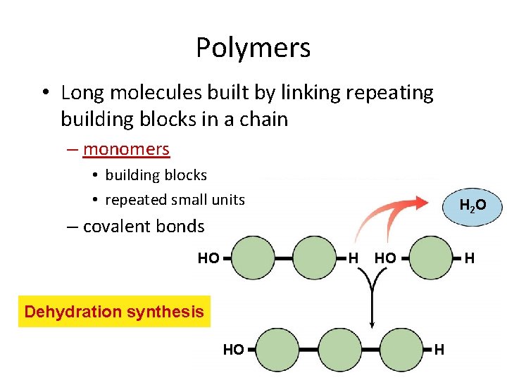 Polymers • Long molecules built by linking repeating building blocks in a chain –