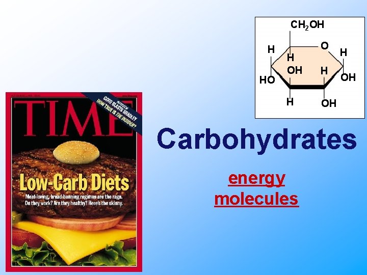 CH 2 OH H HO O H OH Carbohydrates energy molecules 