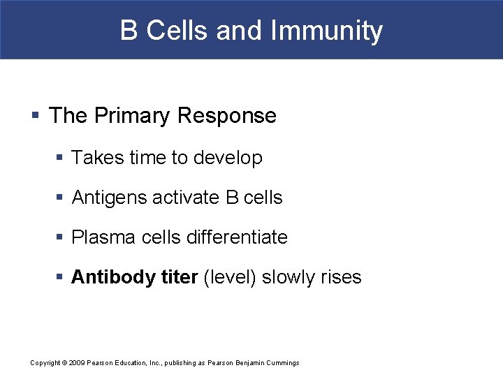 B Cells and Immunity § The Primary Response § Takes time to develop §