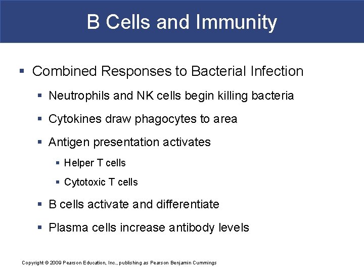 B Cells and Immunity § Combined Responses to Bacterial Infection § Neutrophils and NK
