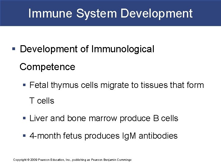 Immune System Development § Development of Immunological Competence § Fetal thymus cells migrate to