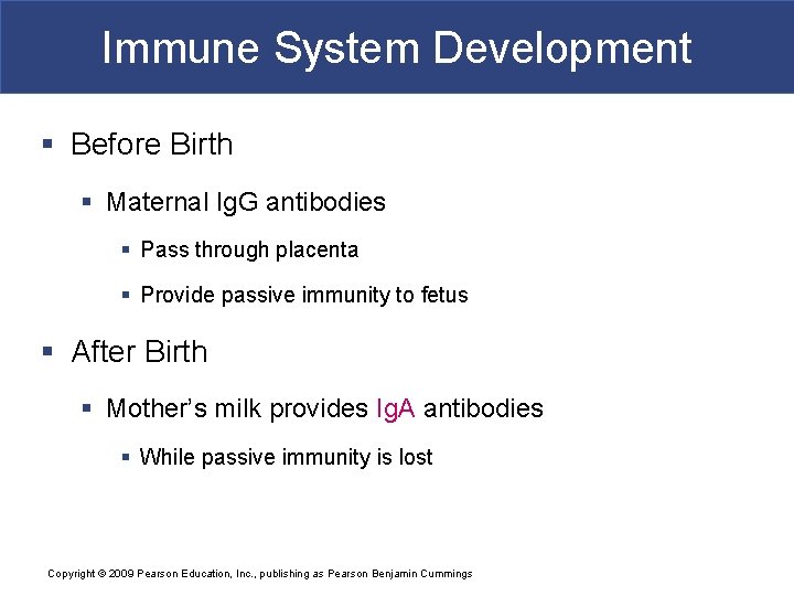 Immune System Development § Before Birth § Maternal Ig. G antibodies § Pass through