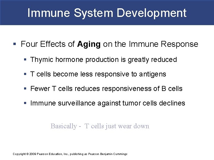 Immune System Development § Four Effects of Aging on the Immune Response § Thymic