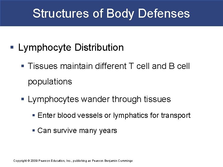 Structures of Body Defenses § Lymphocyte Distribution § Tissues maintain different T cell and