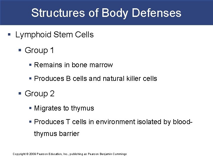 Structures of Body Defenses § Lymphoid Stem Cells § Group 1 § Remains in