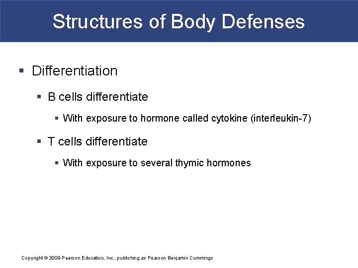 Structures of Body Defenses § Differentiation § B cells differentiate § With exposure to
