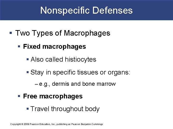 Nonspecific Defenses § Two Types of Macrophages § Fixed macrophages § Also called histiocytes