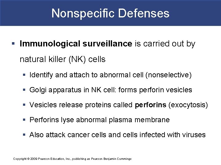 Nonspecific Defenses § Immunological surveillance is carried out by natural killer (NK) cells §