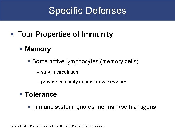 Specific Defenses § Four Properties of Immunity § Memory § Some active lymphocytes (memory
