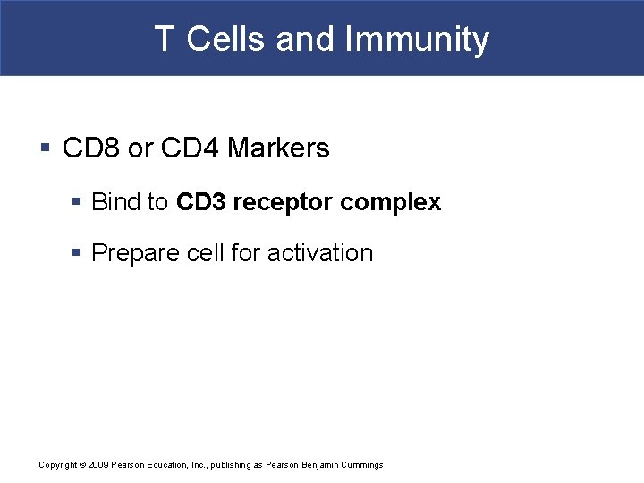 T Cells and Immunity § CD 8 or CD 4 Markers § Bind to