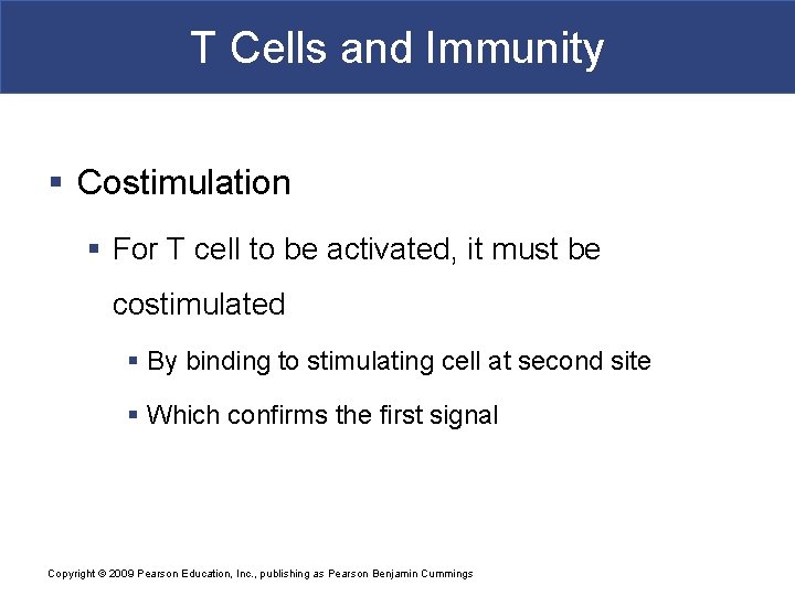 T Cells and Immunity § Costimulation § For T cell to be activated, it