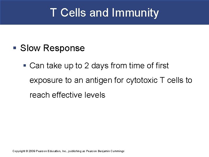 T Cells and Immunity § Slow Response § Can take up to 2 days