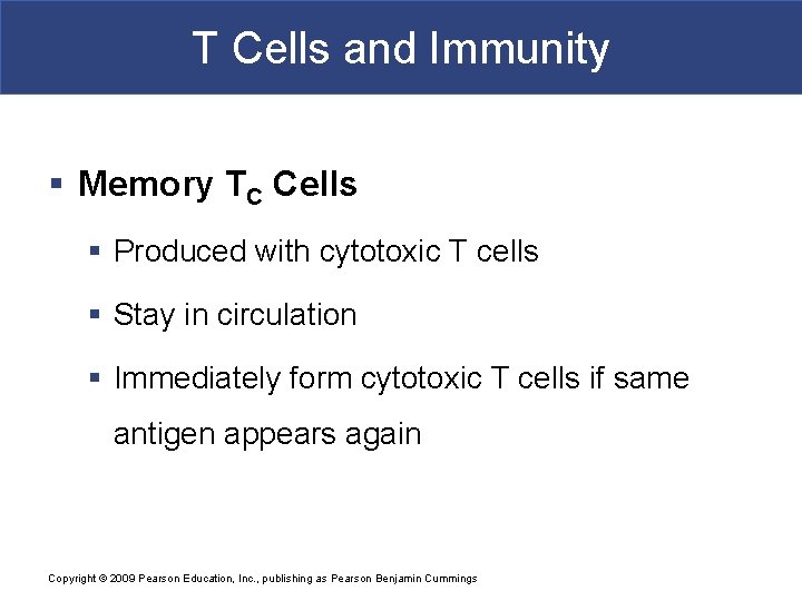 T Cells and Immunity § Memory TC Cells § Produced with cytotoxic T cells