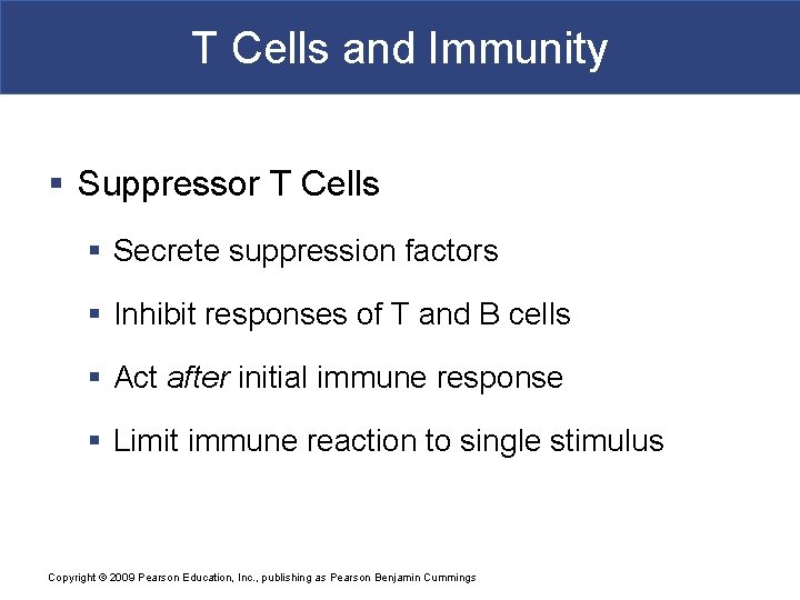 T Cells and Immunity § Suppressor T Cells § Secrete suppression factors § Inhibit