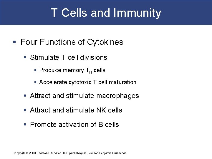 T Cells and Immunity § Four Functions of Cytokines § Stimulate T cell divisions