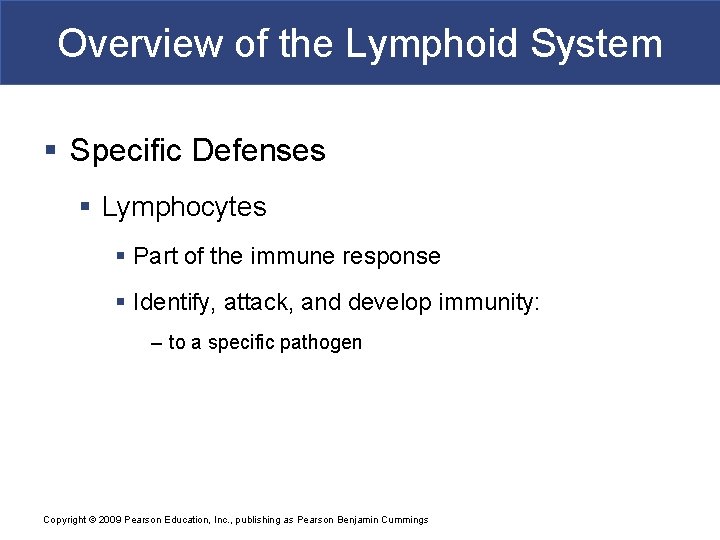 Overview of the Lymphoid System § Specific Defenses § Lymphocytes § Part of the