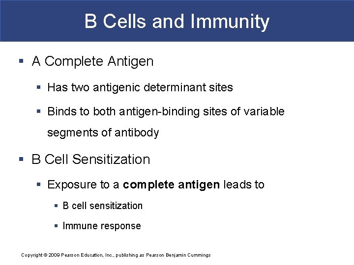 B Cells and Immunity § A Complete Antigen § Has two antigenic determinant sites