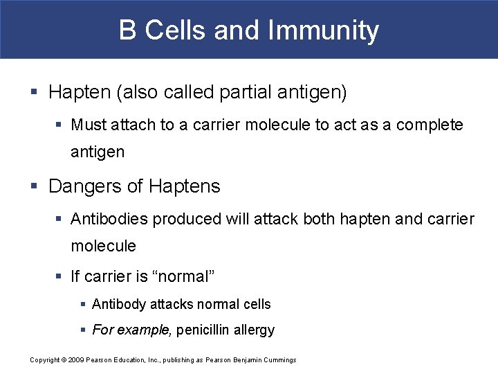 B Cells and Immunity § Hapten (also called partial antigen) § Must attach to
