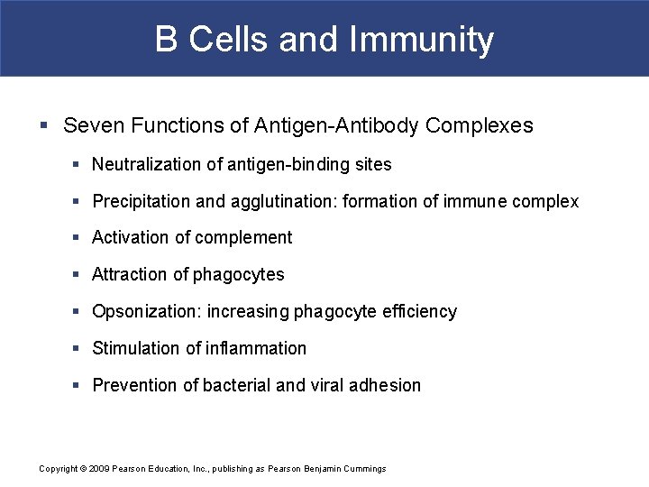 B Cells and Immunity § Seven Functions of Antigen-Antibody Complexes § Neutralization of antigen-binding