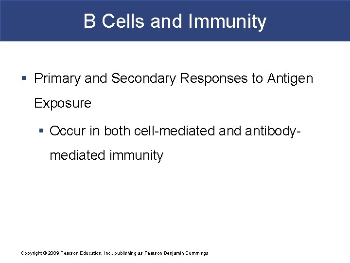 B Cells and Immunity § Primary and Secondary Responses to Antigen Exposure § Occur