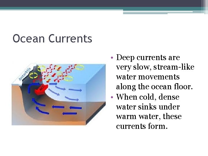 Ocean Currents • Deep currents are very slow, stream-like water movements along the ocean