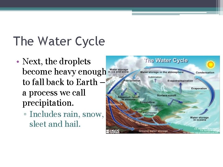 The Water Cycle • Next, the droplets become heavy enough to fall back to