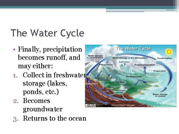 The Water Cycle • Finally, precipitation becomes runoff, and may either: 1. Collect in