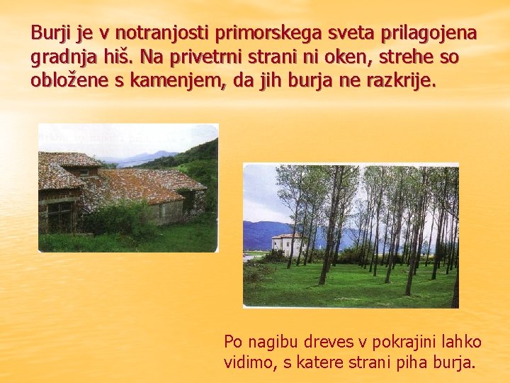 Burji je v notranjosti primorskega sveta prilagojena gradnja hiš. Na privetrni strani ni oken,