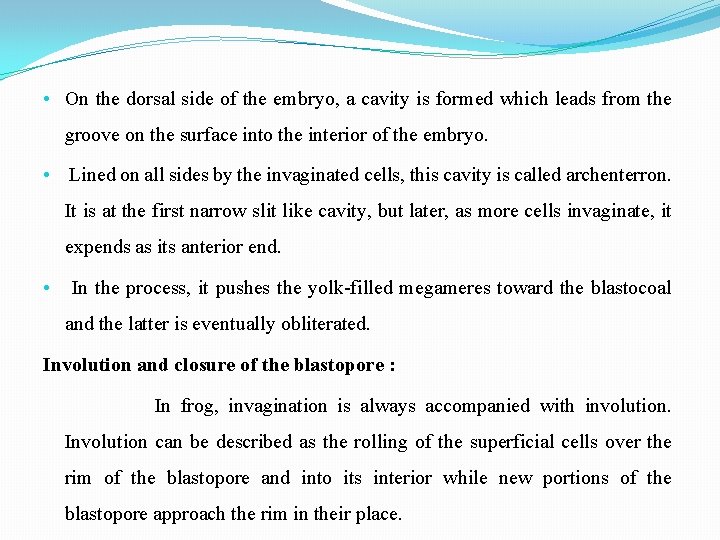  • On the dorsal side of the embryo, a cavity is formed which