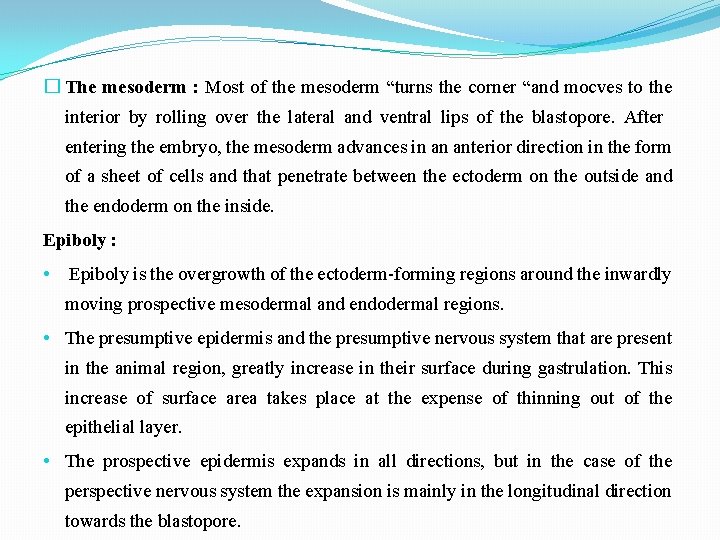 � The mesoderm : Most of the mesoderm “turns the corner “and mocves to