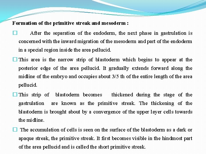 Formation of the primitive streak and mesoderm : � After the separation of the