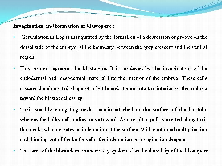 Invagination and formation of blastopore : • Gastrulation in frog is inaugurated by the