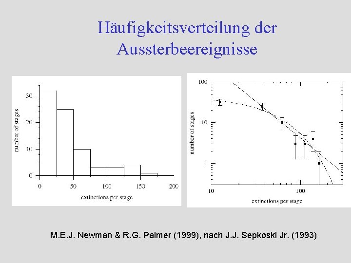 Häufigkeitsverteilung der Aussterbeereignisse M. E. J. Newman & R. G. Palmer (1999), nach J.