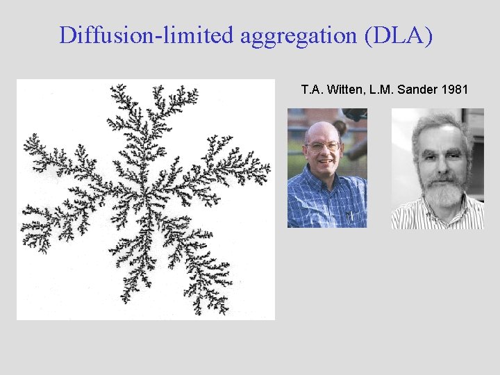 Diffusion-limited aggregation (DLA) T. A. Witten, L. M. Sander 1981 