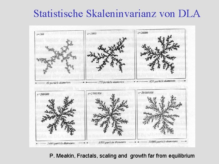 Statistische Skaleninvarianz von DLA P. Meakin, Fractals, scaling and growth far from equilibrium 
