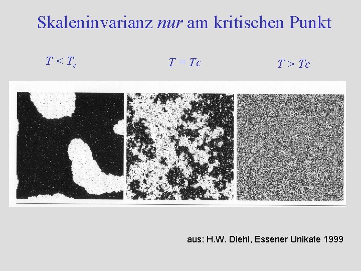 Skaleninvarianz nur am kritischen Punkt T < Tc T = Tc T > Tc