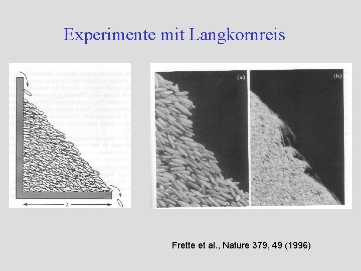 Experimente mit Langkornreis Frette et al. , Nature 379, 49 (1996) 