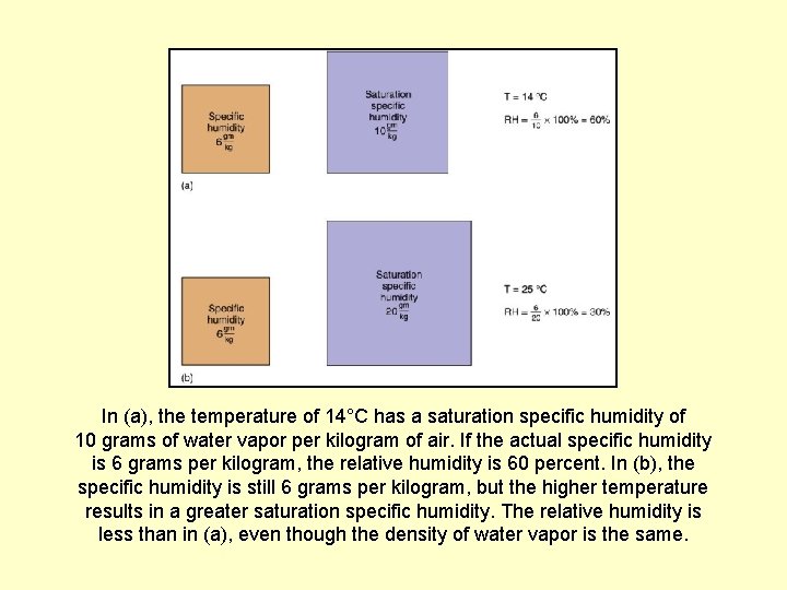 In (a), the temperature of 14°C has a saturation specific humidity of 10 grams