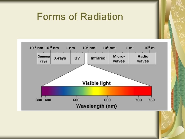 Forms of Radiation 